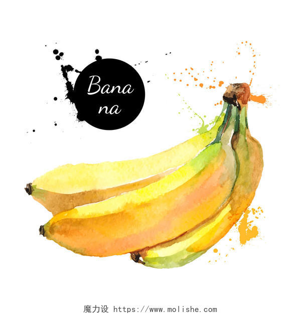 手绘水彩香蕉在白色背景上